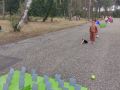 IMG 20260903 113501