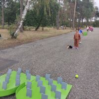 IMG 20260903 113501