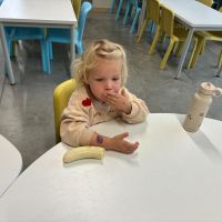 IMG 2766