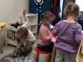 IMG 2672