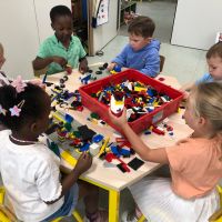 IMG 2681
