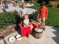 IMG 2761