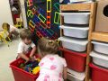 IMG 2763