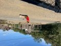 IMG 5585