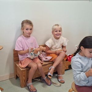 eerste dagen bij de zeeschildpadden en papegaaiduikers 