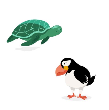 zeeschildpad papegaaiduiker Zstip4