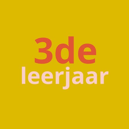 3de leerjaar Zstip1