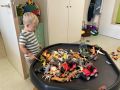 IMG 4492