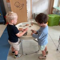 IMG 4546