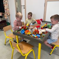 IMG 4548