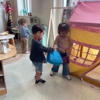 IMG 4550