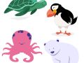 zeeschildpad papegaaiduiker octopus poolbeer Zstip8