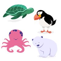zeeschildpad papegaaiduiker octopus poolbeer Zstip8