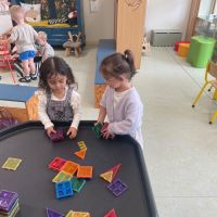 IMG 4269