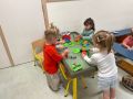 IMG 4330