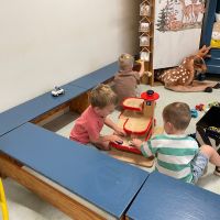 IMG 4331