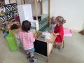 IMG 4381