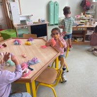 IMG 4385
