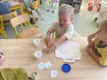 IMG 4735