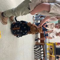 IMG 4738