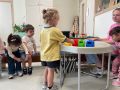 IMG 4751