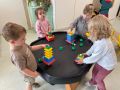 IMG 4602