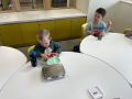 IMG 6558