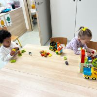 IMG 6551