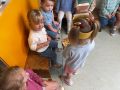 IMG 6599