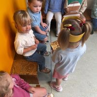 IMG 6599