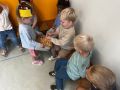 IMG 6603