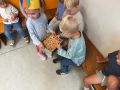 IMG 6604