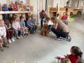 IMG 5055