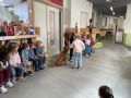 IMG 5056