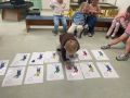 IMG 5183