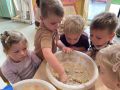 IMG 4958