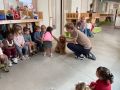 IMG 5051