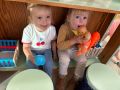 IMG 3045