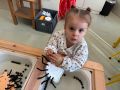 IMG 3055