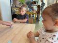 IMG 3061