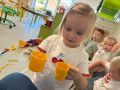 IMG 3087