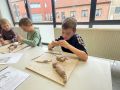 IMG 3121