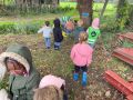 IMG 5235