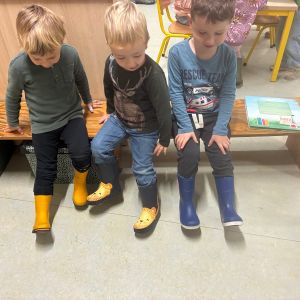 herfstwandeling uil en pauw