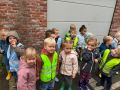 IMG 3541