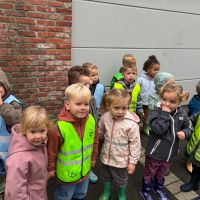 IMG 3541