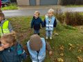 IMG 3545