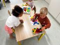 IMG 6791