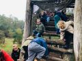 IMG 3458