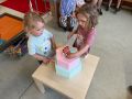 IMG 6842